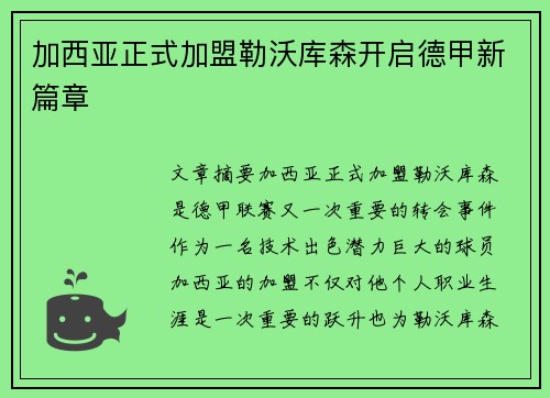 加西亚正式加盟勒沃库森开启德甲新篇章